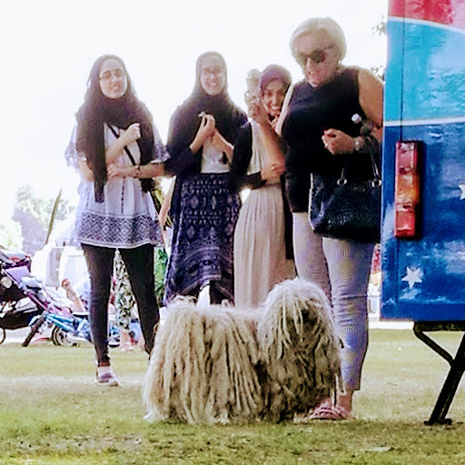 sdr<br />
clone tag: -9043381946868861103